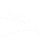 Sirin Software